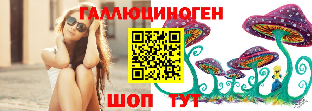 Галлюциногенные грибы Psilocybe Чайковский